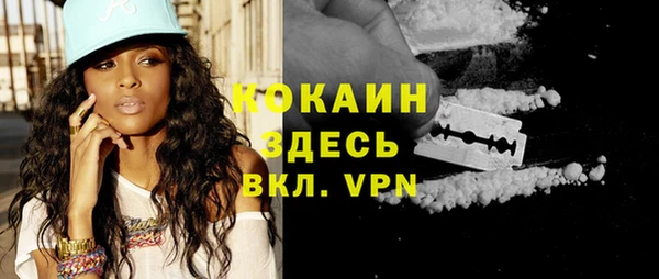 ГАЛЛЮЦИНОГЕННЫЕ ГРИБЫ Бородино