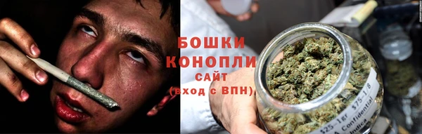 дурь Бронницы