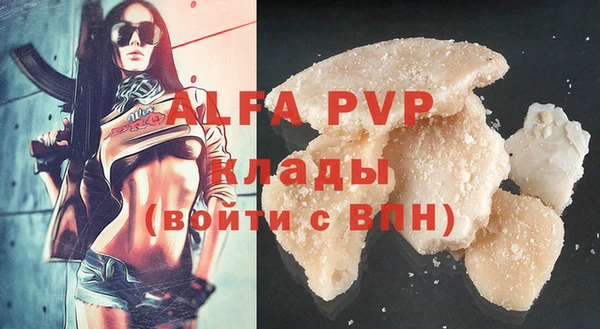 ГАЛЛЮЦИНОГЕННЫЕ ГРИБЫ Бородино