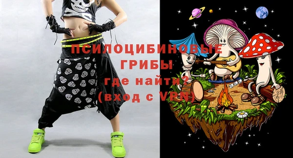 ГАЛЛЮЦИНОГЕННЫЕ ГРИБЫ Бородино