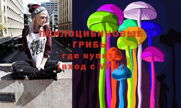 ГАЛЛЮЦИНОГЕННЫЕ ГРИБЫ Бородино