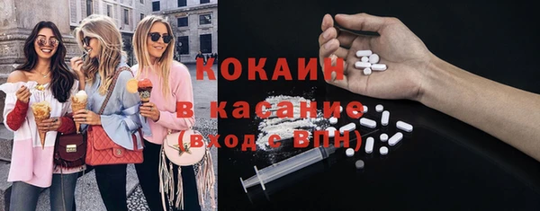 ГАЛЛЮЦИНОГЕННЫЕ ГРИБЫ Бородино